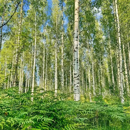 Satakieli By Interhome * Hirsjärvi