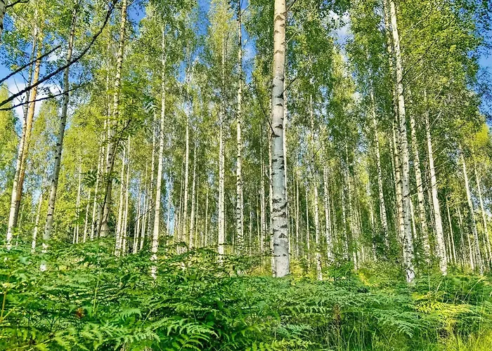 Satakieli By Interhome Hirsjärvi